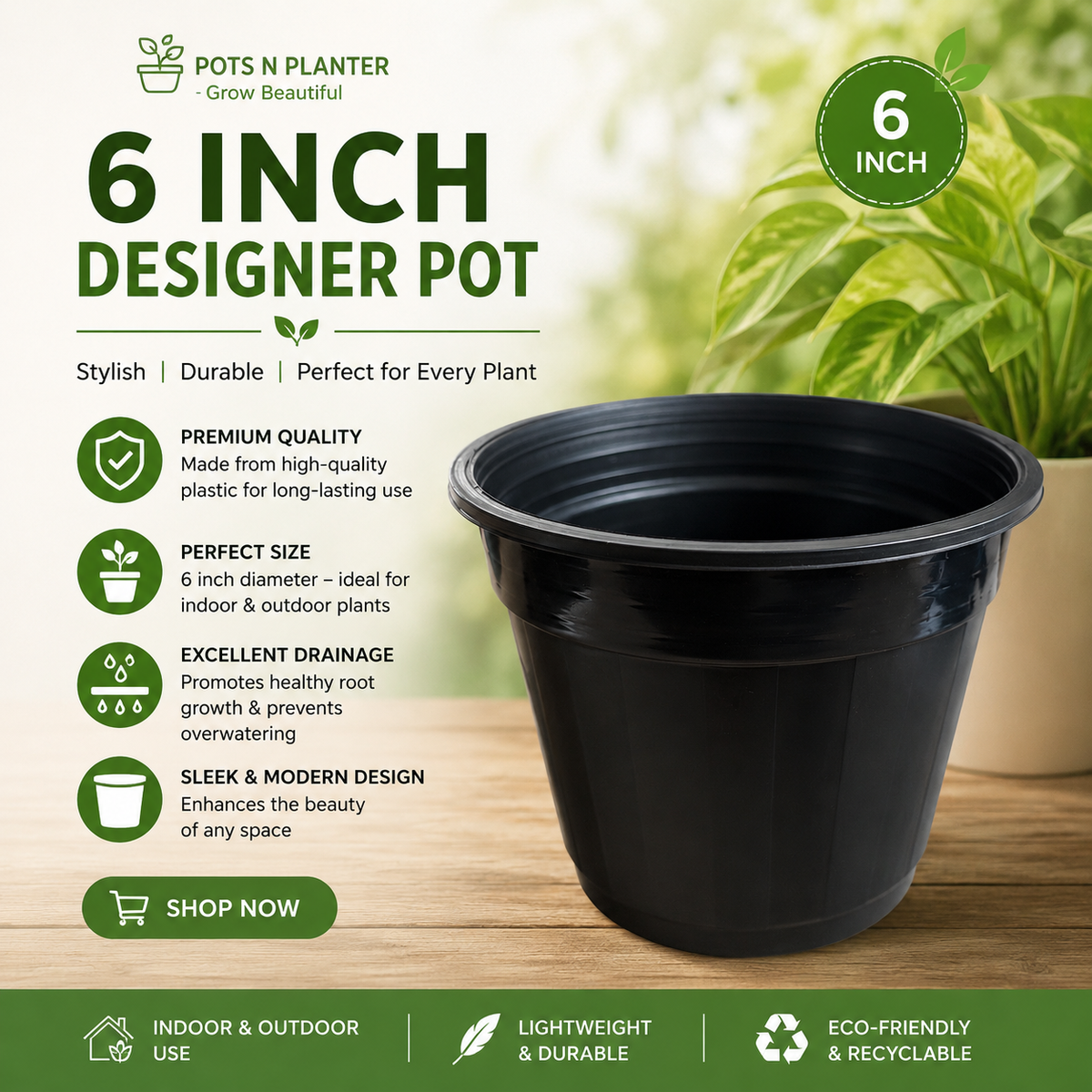 6 Inch Designer Pots