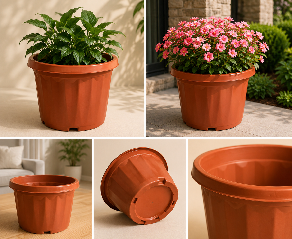 8 Inch Round Pot