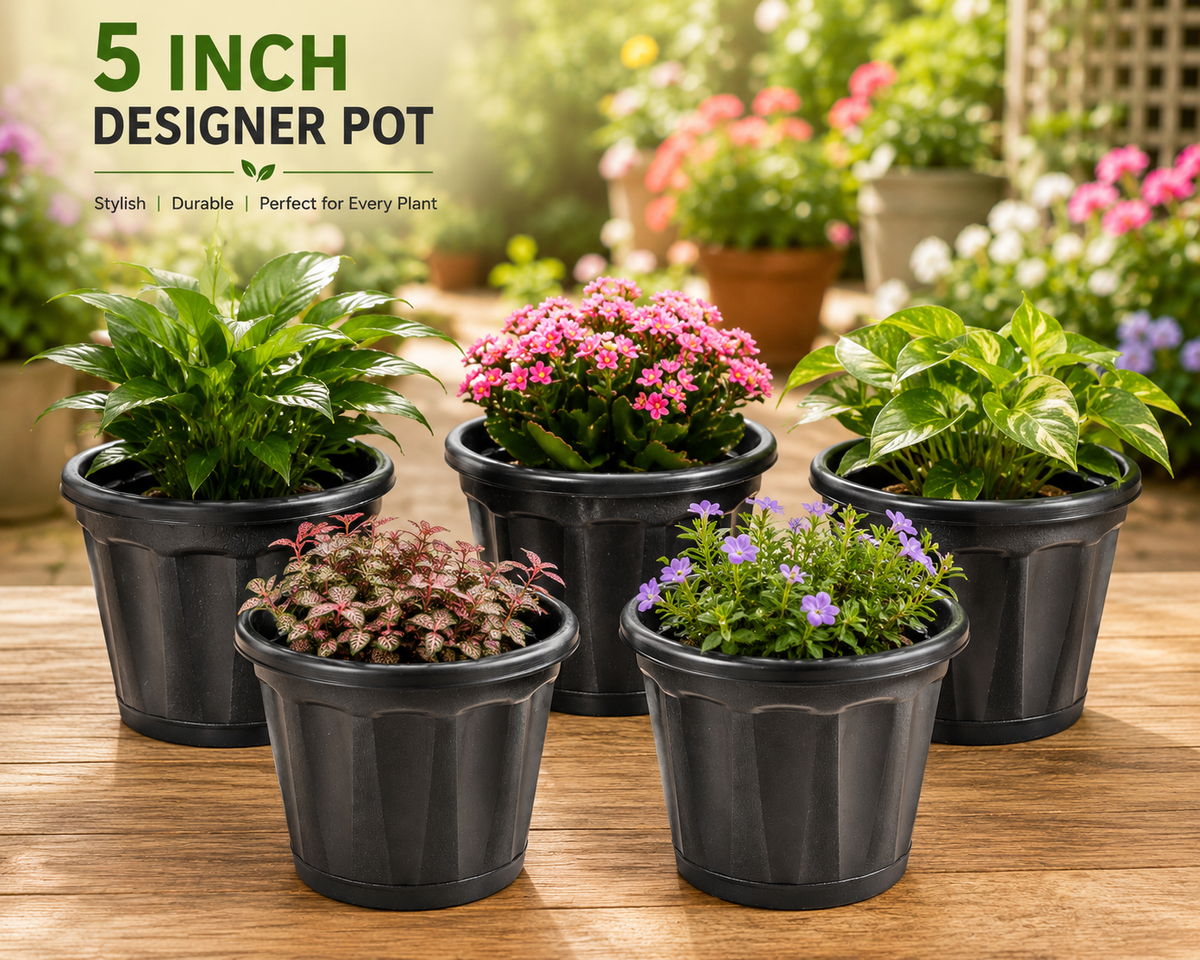 Designer 5 Inch Pot