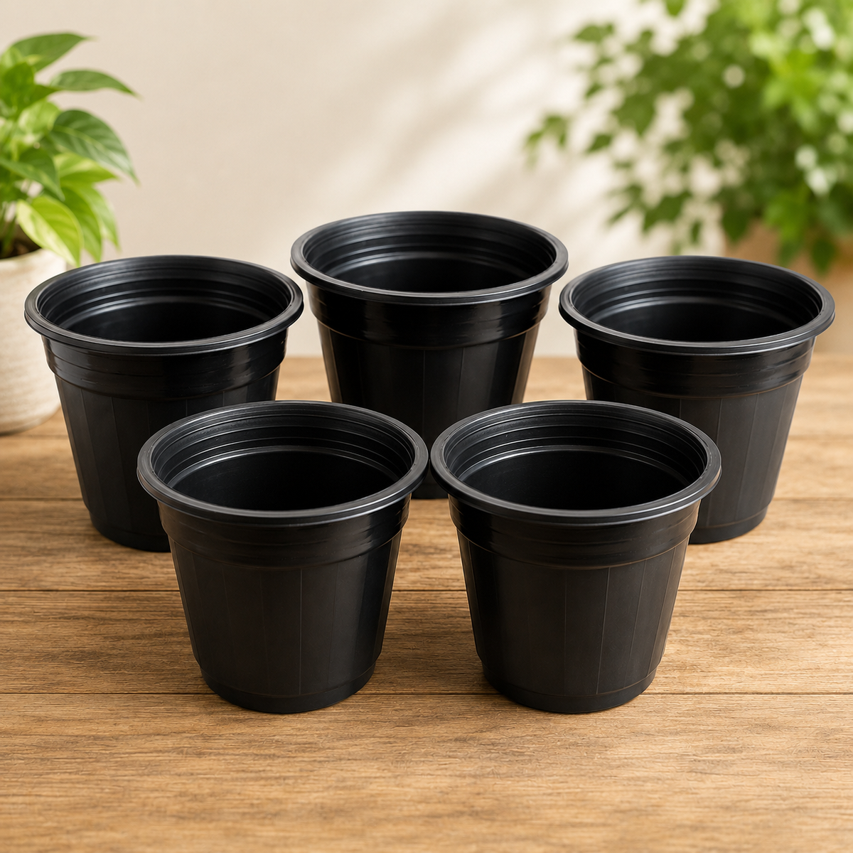 6 Inch Designer Pots