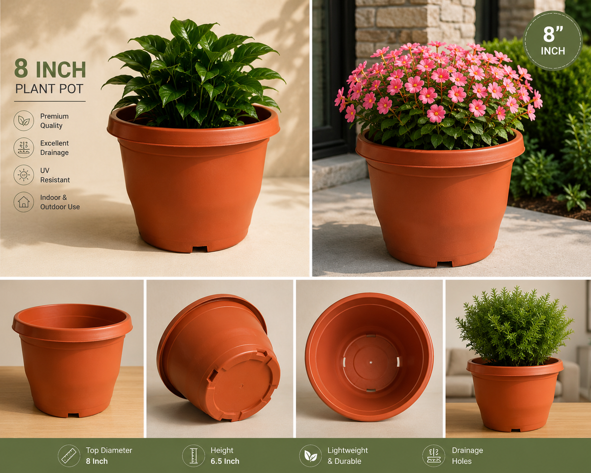 8 Inch Designer Pot