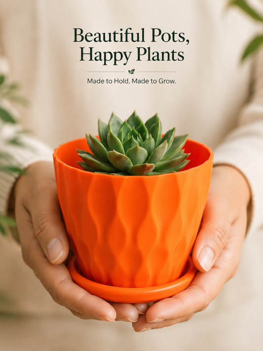 6 INCH DESIGNER INDOOR/OUTDOOR POTS with Plate/Tray