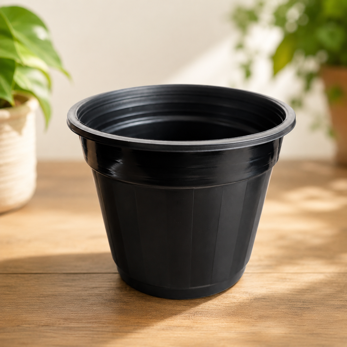 6 Inch Designer Pots
