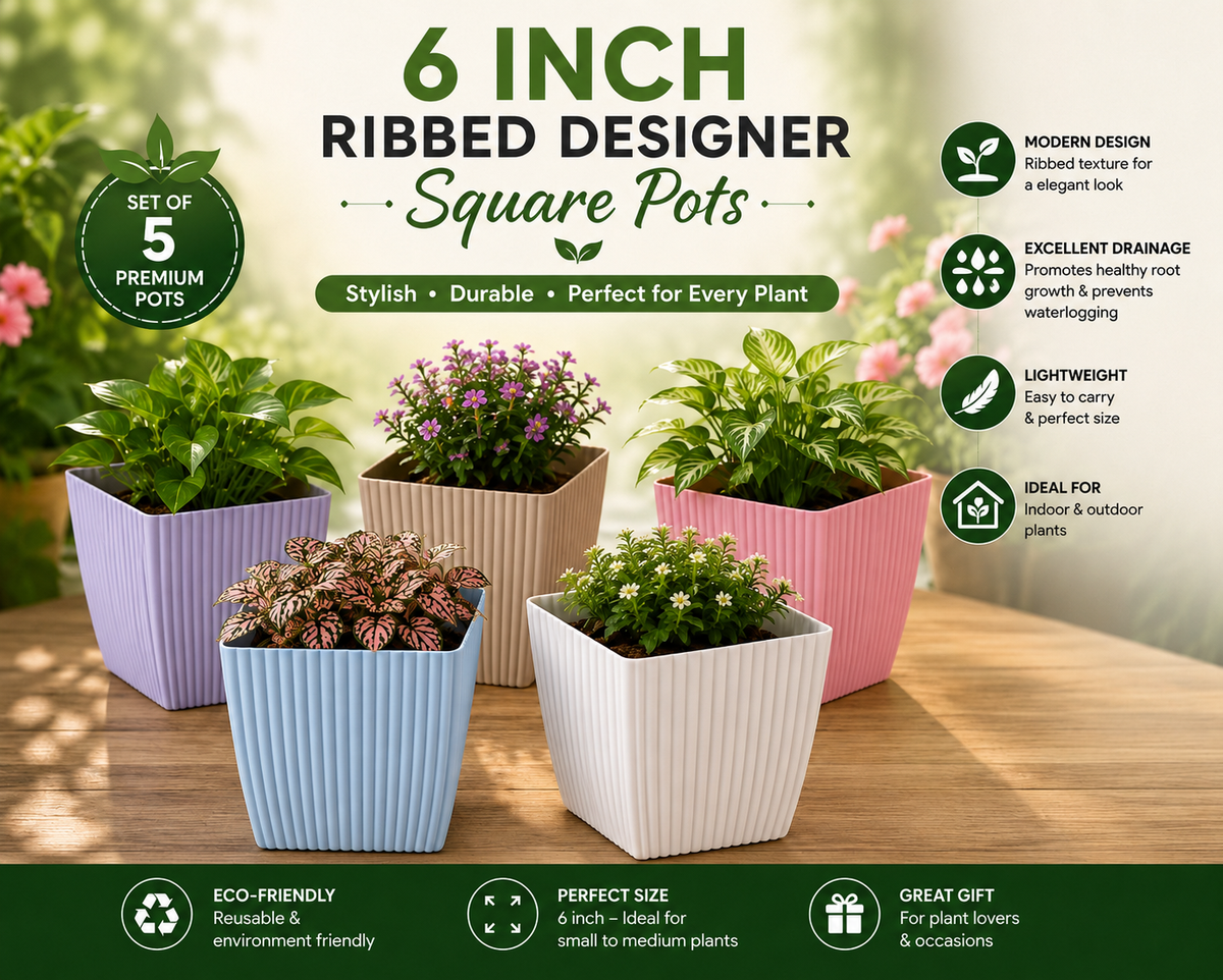 6 Inch Ribbed Designer Square Pots