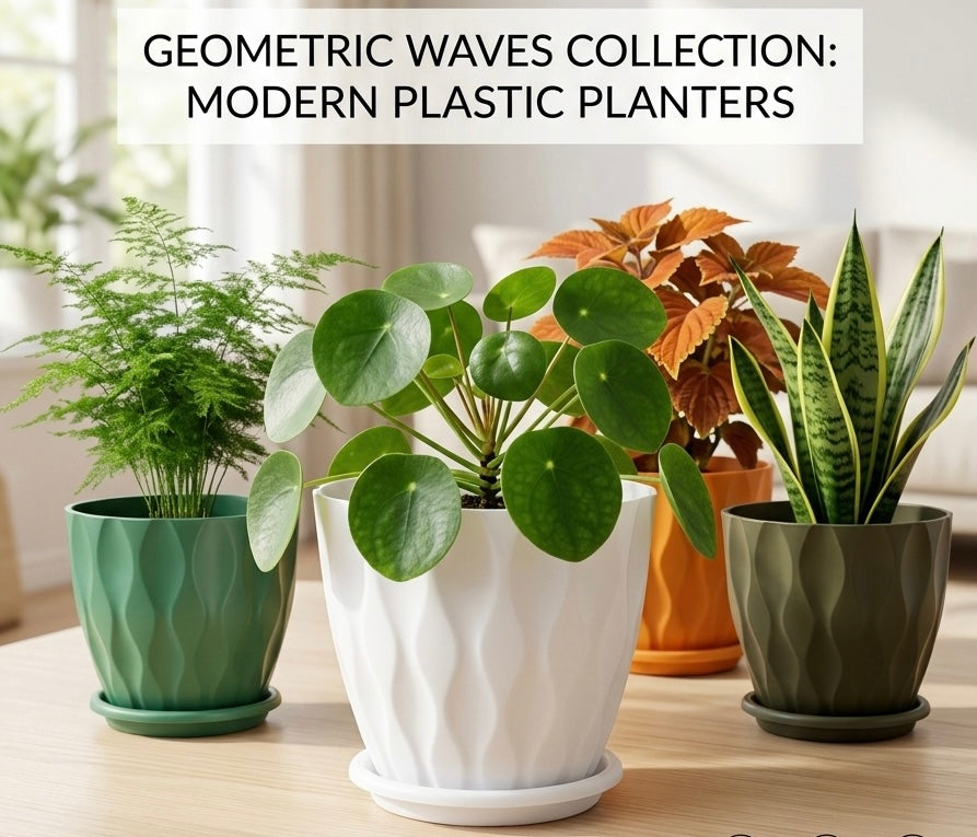 6 INCH DESIGNER INDOOR/OUTDOOR POTS with Plate/Tray