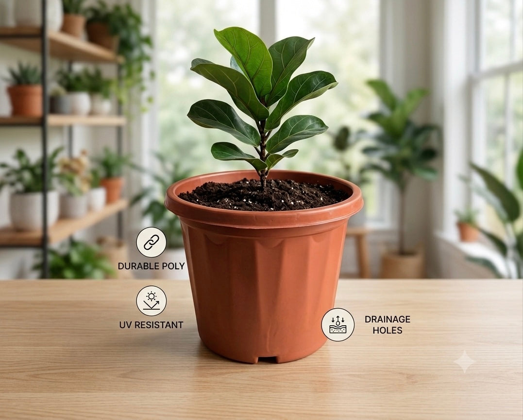 8 Inch Round Pot