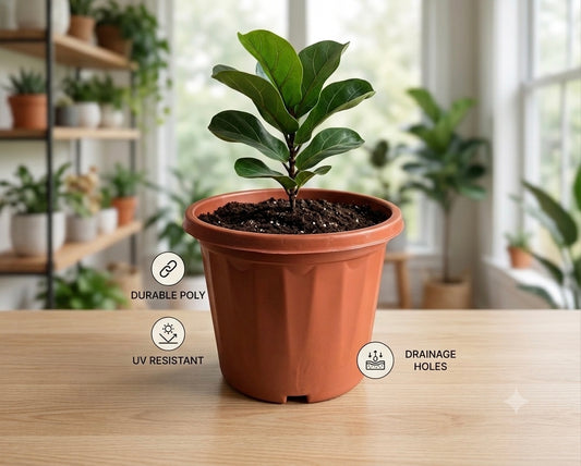 8 Inch Round Pot