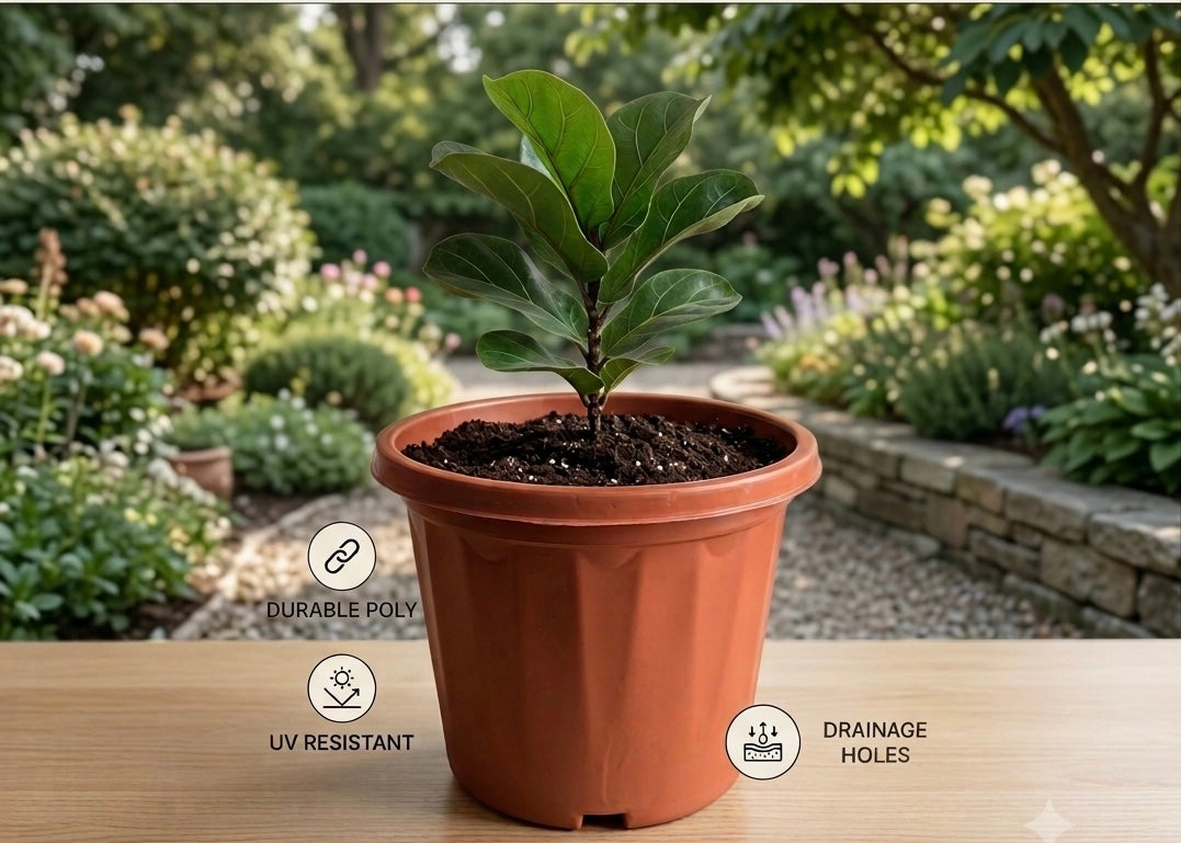 8 Inch Round Pot