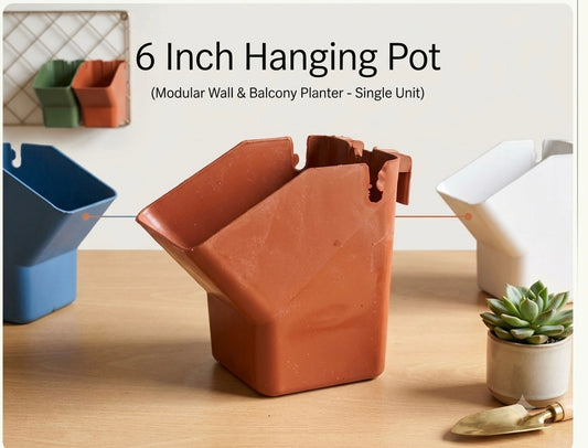 6 Inch Hanging Pot