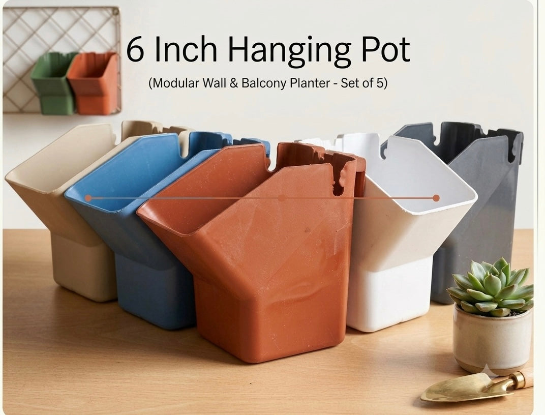 6 Inch Hanging Pot