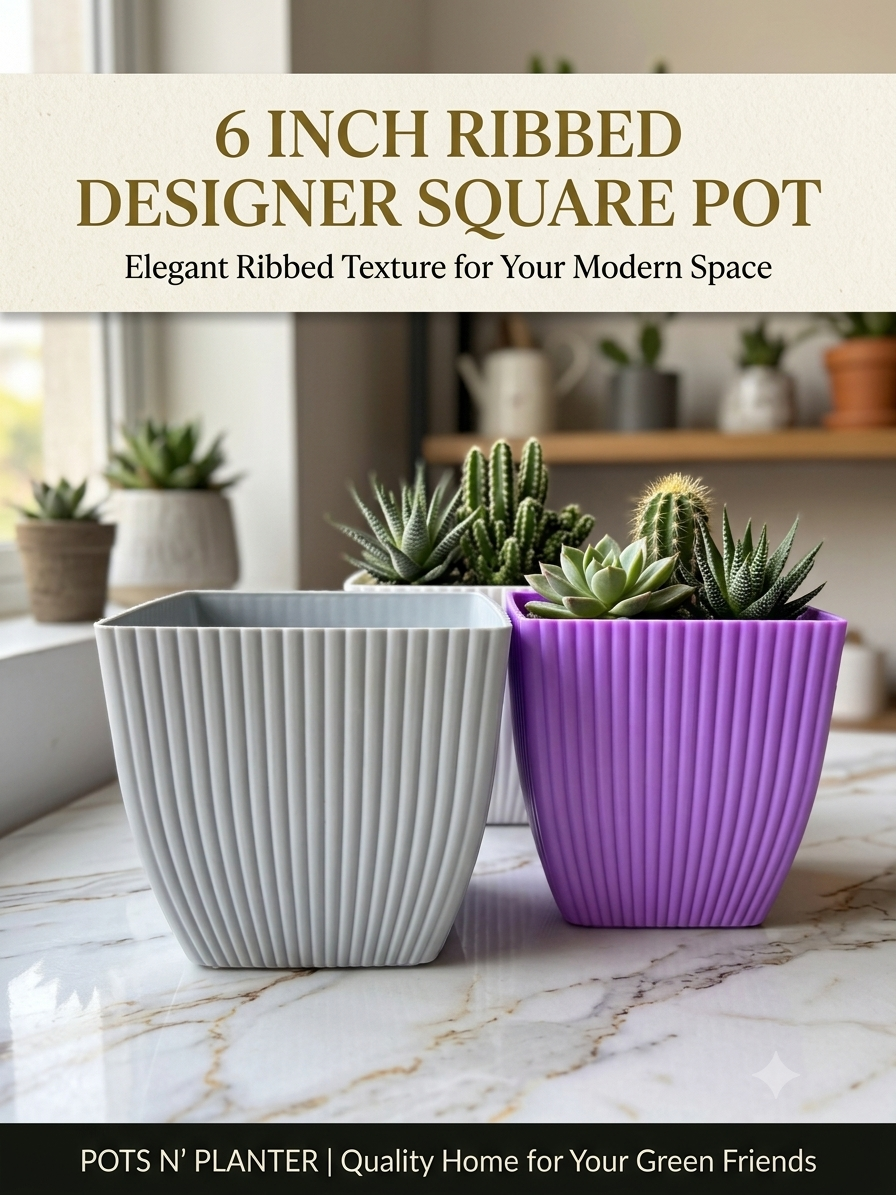 6 Inch Ribbed Designer Square Pots