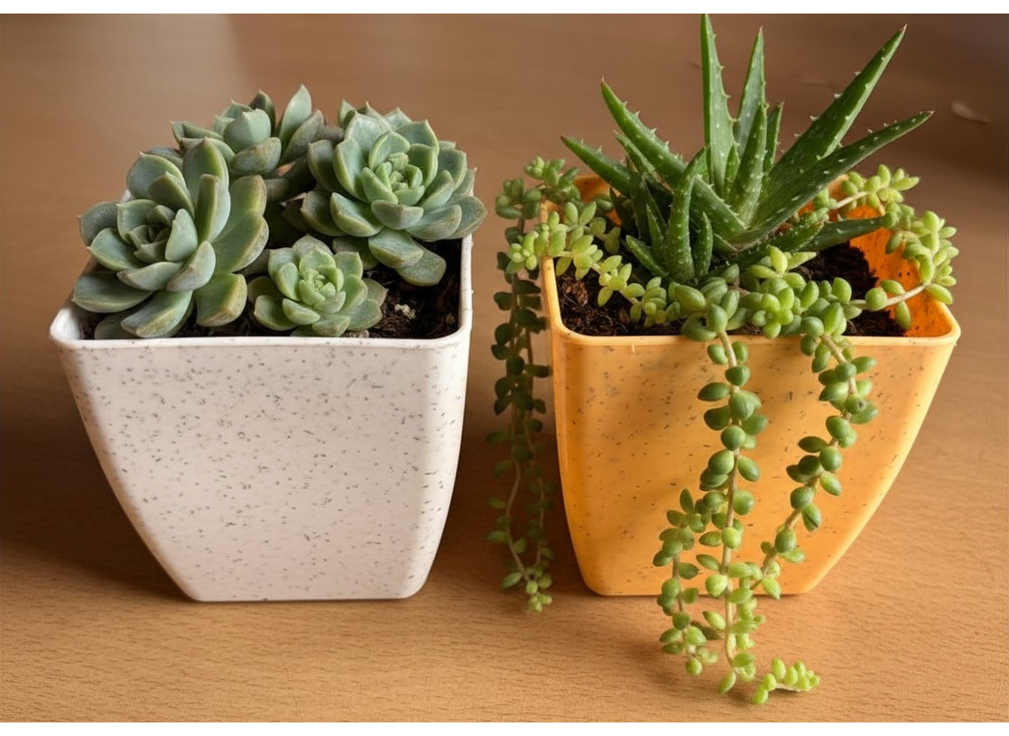 Designer 4 Inch Pot
